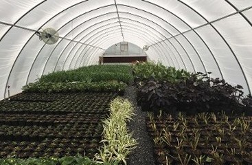 Merchney Greenhouses
